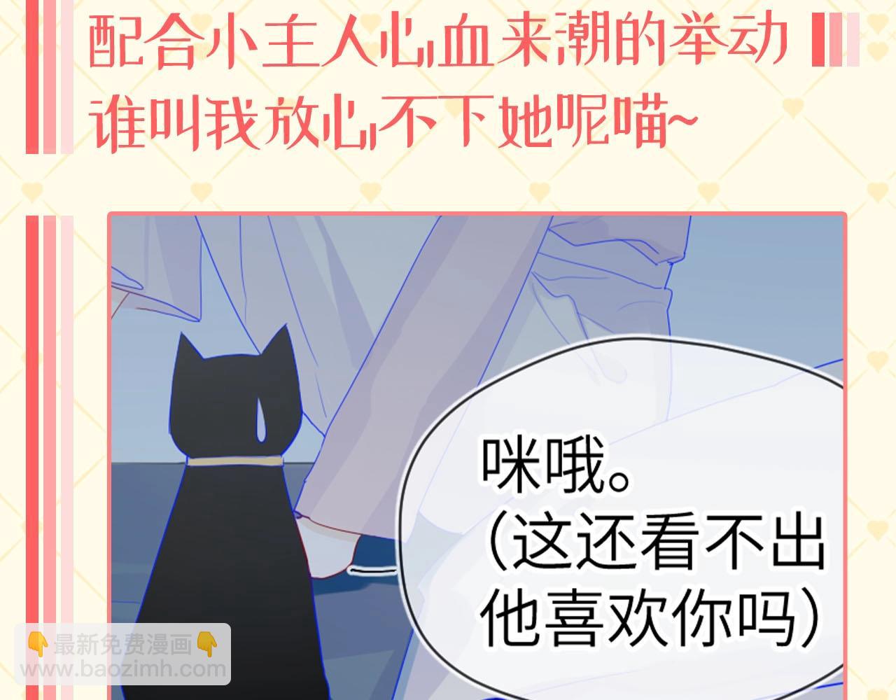 第40期 猫猫仙贝的悠闲生活8