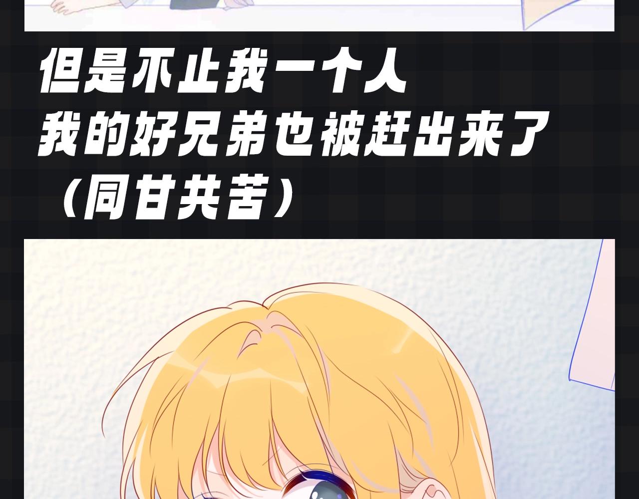 第136期 整活企划：星星演我的日常心理状态~5