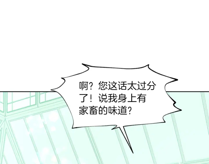 第19话 名媛社交聚会166