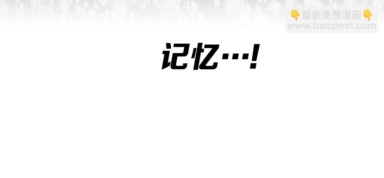 第95话 涌入的记忆161