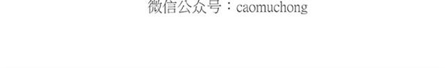师傅爱大白31