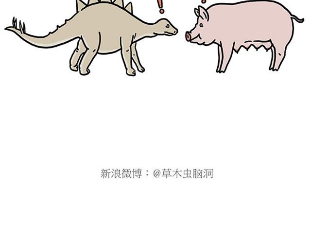 师傅爱大白9