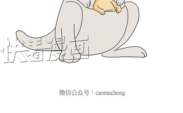 师傅保健11