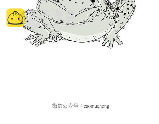 师傅保健29