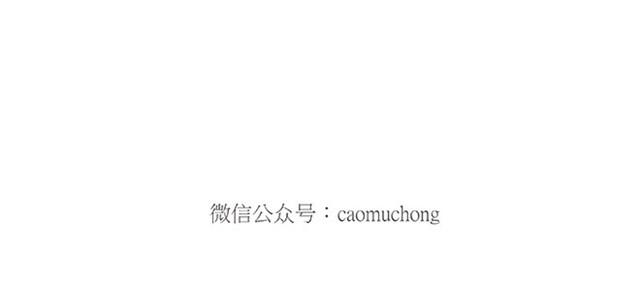 师傅弹钢琴25