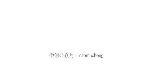 师傅弹钢琴33