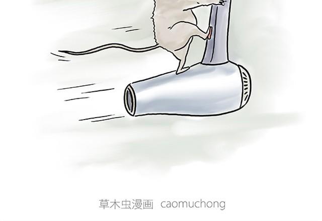 师傅潜水9