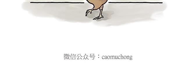 师傅的茶道11