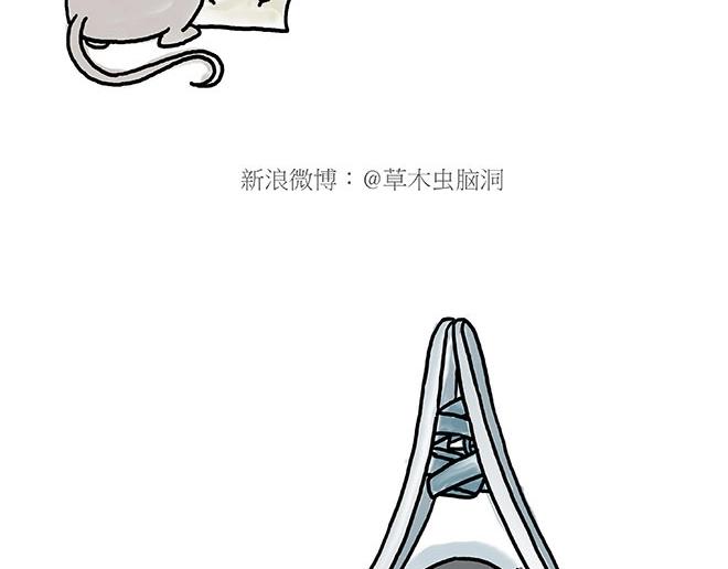 师傅的茶道15