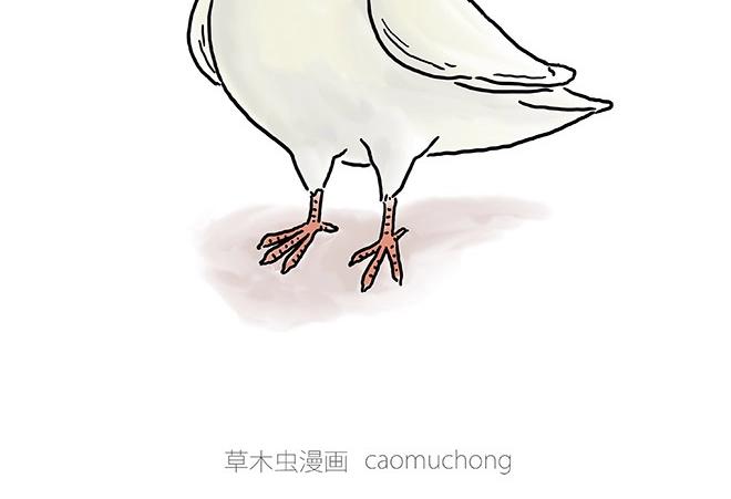 师傅的茶道29