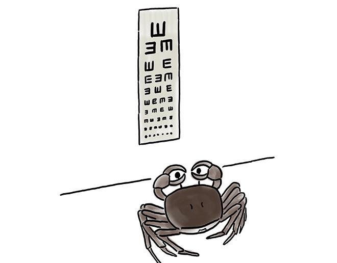 师傅的庆功宴4