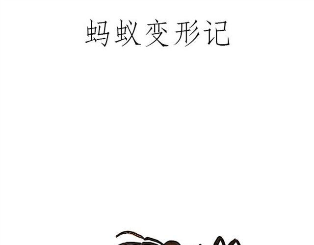 帮师傅挡羞12