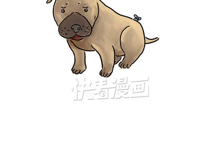 帮师傅挡羞25