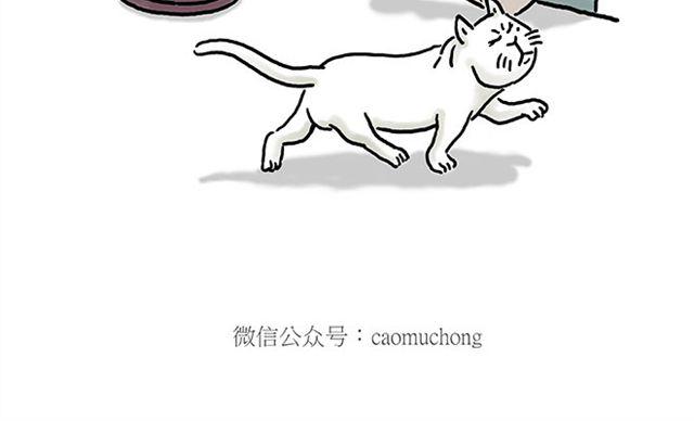 师傅遇险13