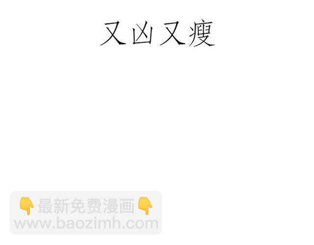 健身球操14