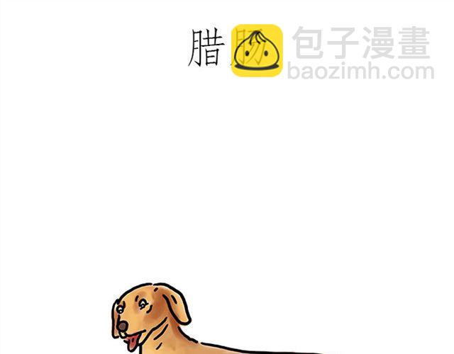 健身球操6