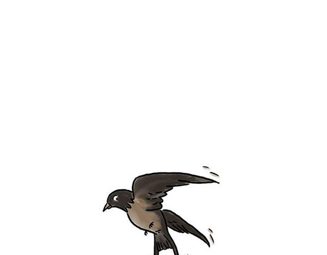 烟民师徒16