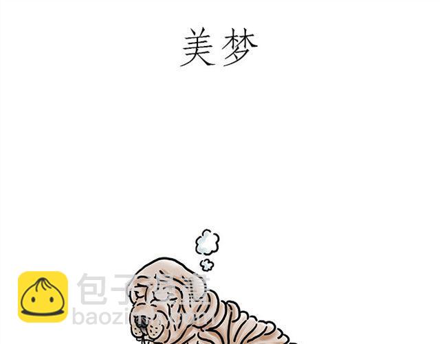 师傅的马戏8
