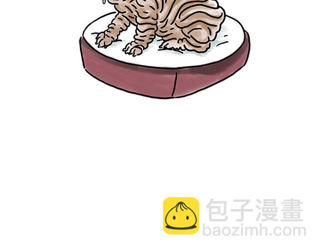 师傅的马戏9
