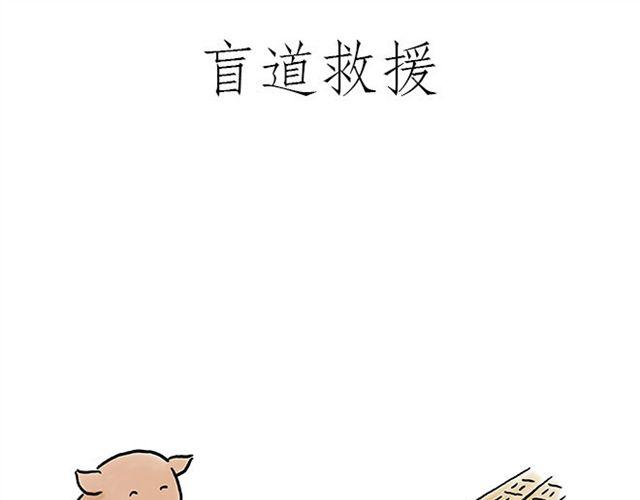 悟空去哪儿了？6
