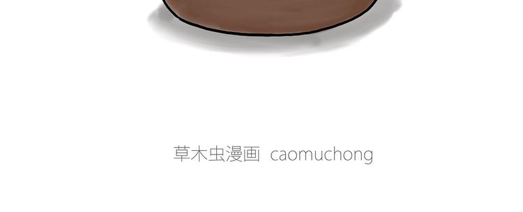 猴的新年15