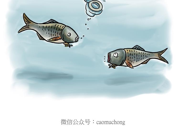 猴的新年26