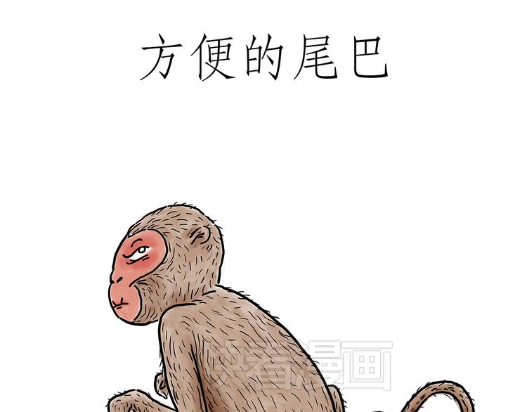 猴的新年28