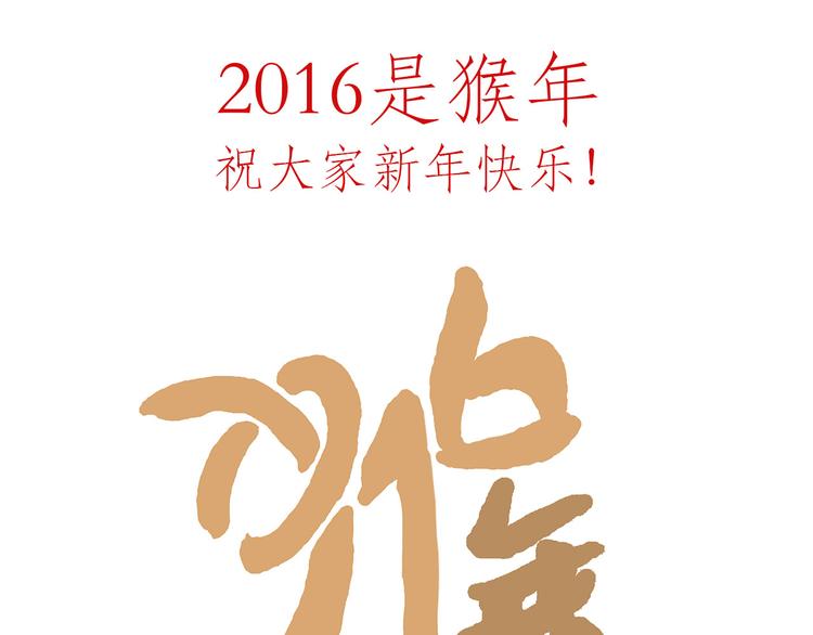 猴的新年38