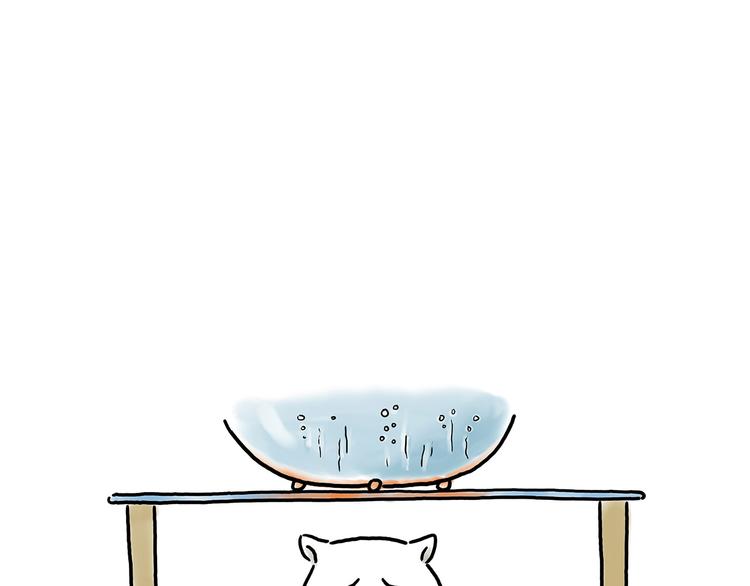 师傅照相馆18