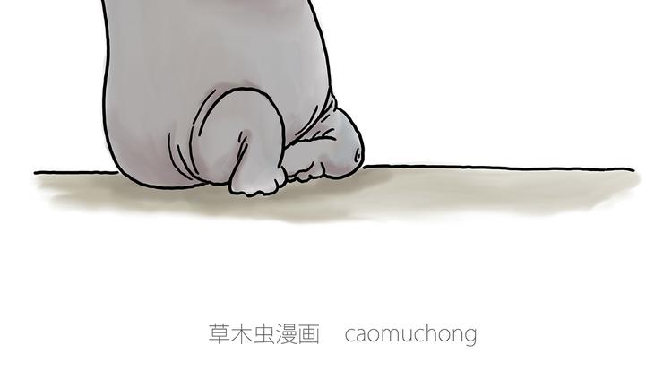 师傅照相馆5