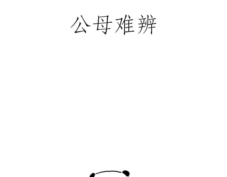 师傅抢红包18