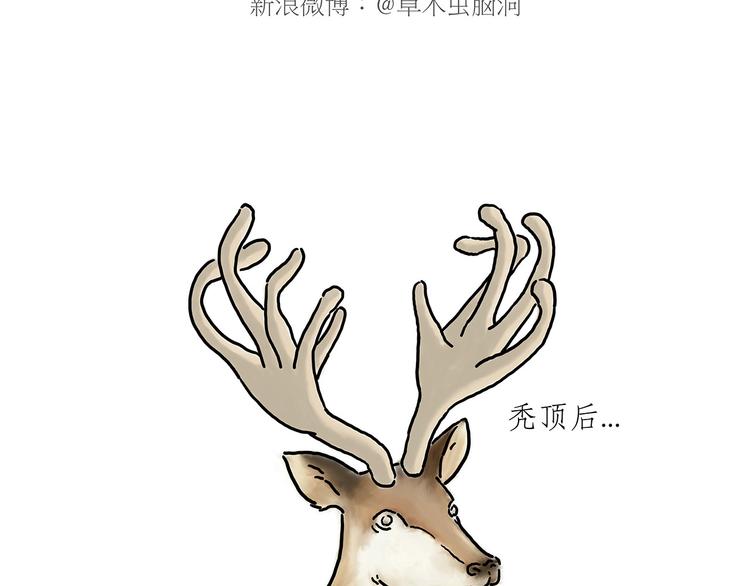 师傅抢红包26