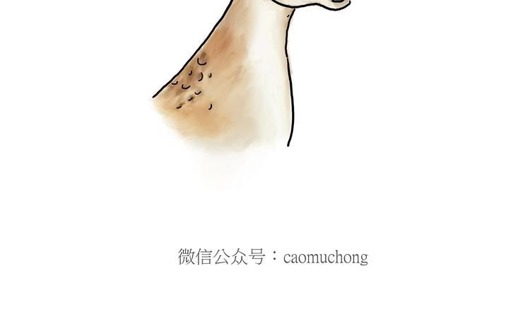 师傅抢红包27
