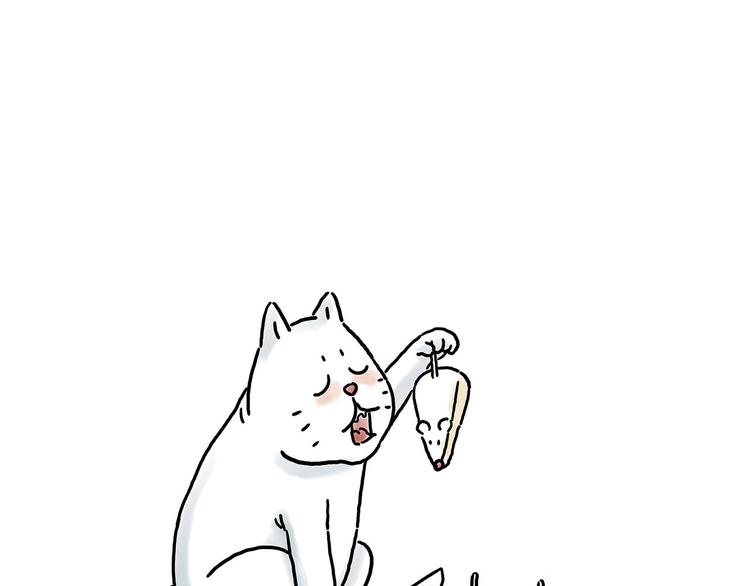 师傅抢红包6