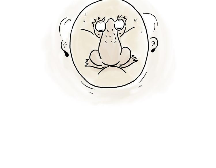 师傅抢红包9