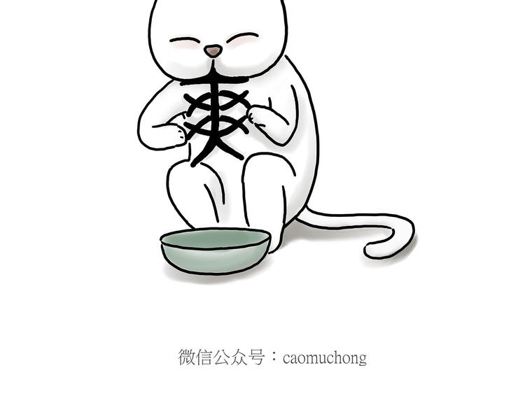 豆腐乳6