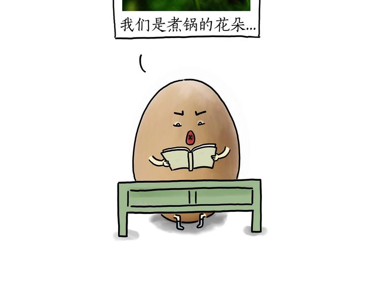 巧手小马21
