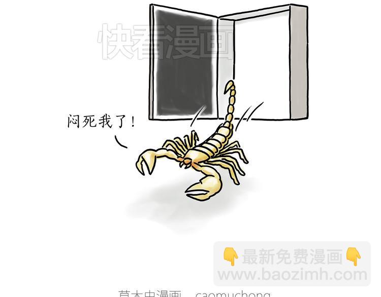 小鸡炖蘑菇14