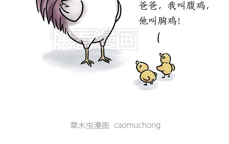 小鸡炖蘑菇34