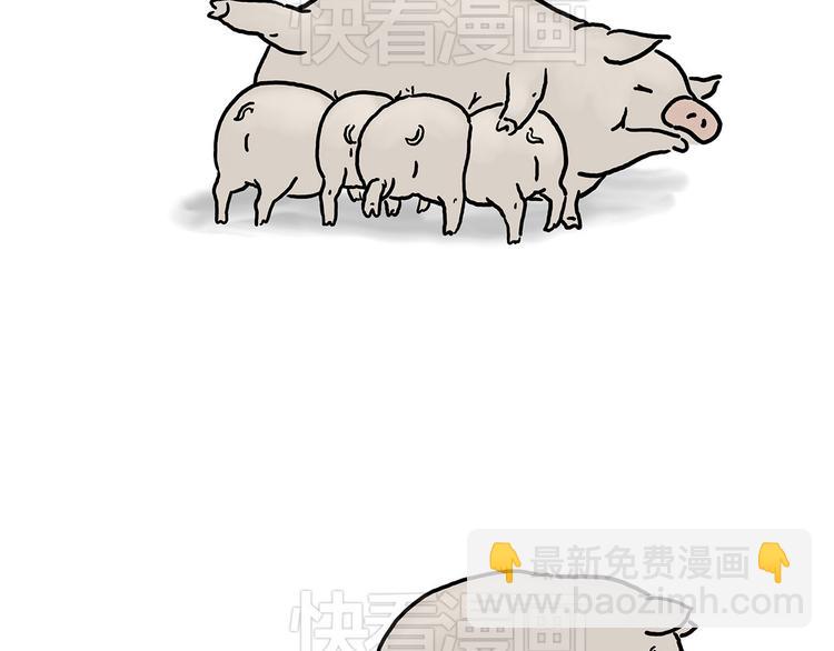 小鸡炖蘑菇8
