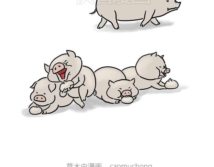 小鸡炖蘑菇9