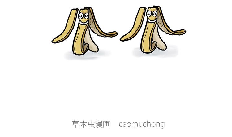 肉粽冲浪16