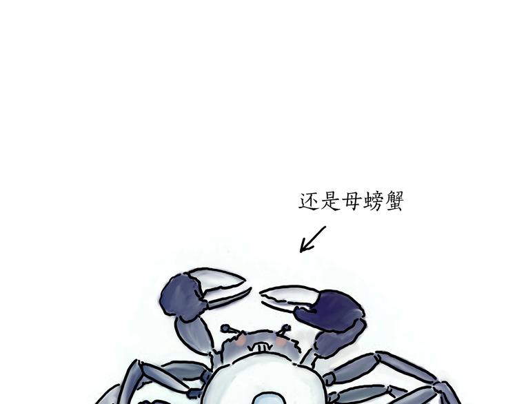 胶原蛋白12