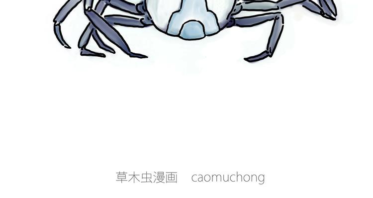 胶原蛋白13