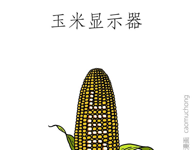 胶原蛋白24