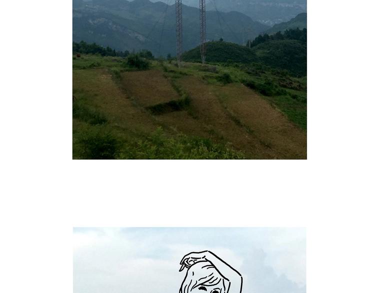 胶原蛋白33