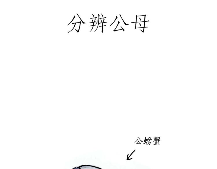 胶原蛋白9