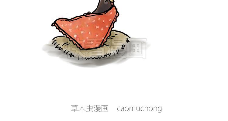 斗舞24