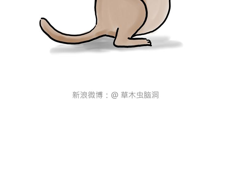 来自星星的你18