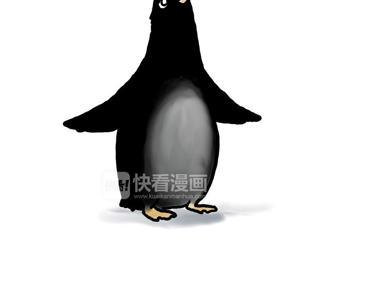 自动饮料机13